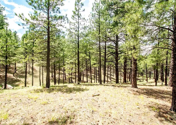 Hannah Lane Haven Forest Views Great Location Family-friendly Villa